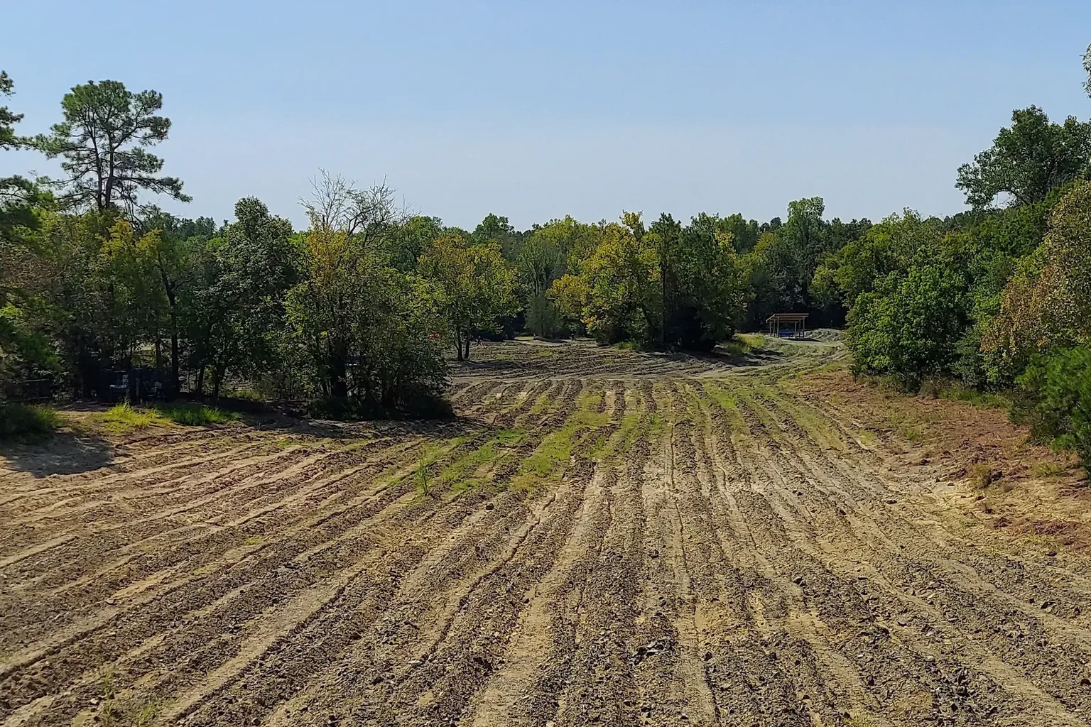Freshly cut field bordered by mature trees